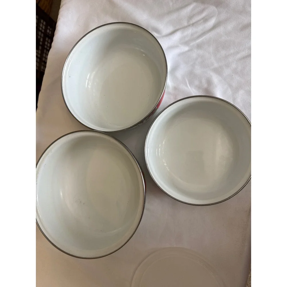 Vintage Style Enamelware Fruit Nesting Bowls Set of 3 with 1 Lid Apple Grapes